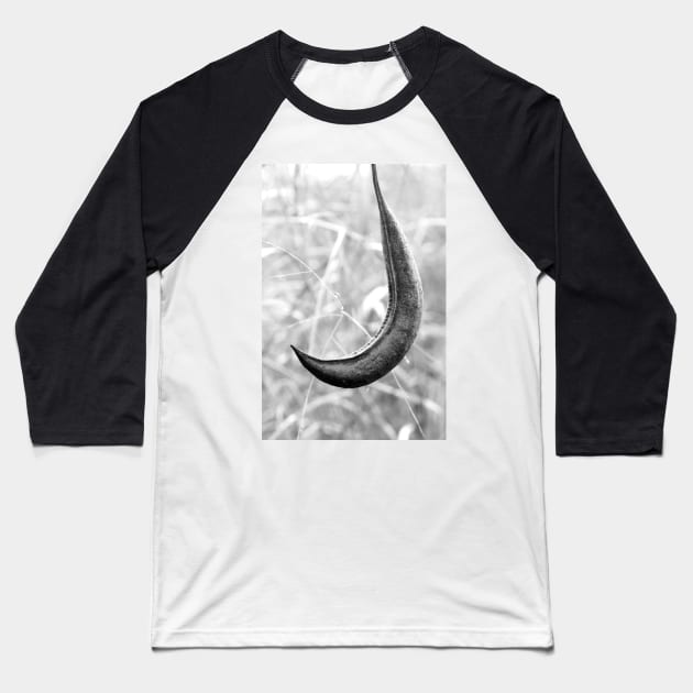 Seed Pod Baseball T-Shirt by searchlight